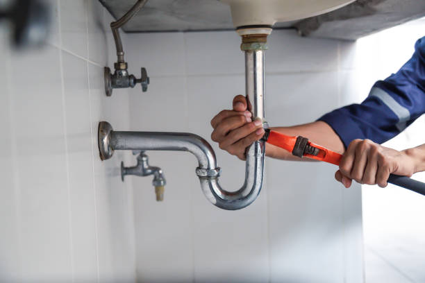 Best Clogged Drain Plumber  in Allendale, CA